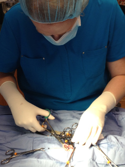 Dr. Melissa Moore in surgery